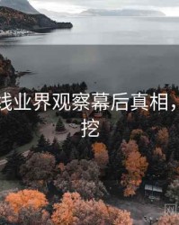 欧美在线业界观察幕后真相，一起深挖