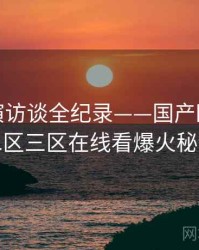 独到导演访谈全纪录——国产欧美一区二区三区在线看爆火秘诀