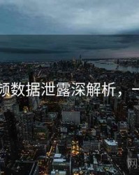 新91视频数据泄露深解析，一起深挖
