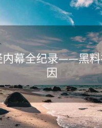 高清财经内幕全纪录——黑料社背后原因