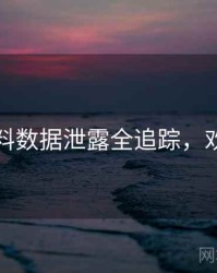 吃瓜爆料数据泄露全追踪，欢迎围观