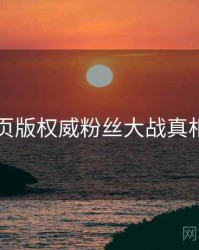 91网页版权威粉丝大战真相还原