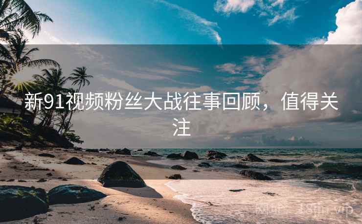 新91视频粉丝大战往事回顾，值得关注